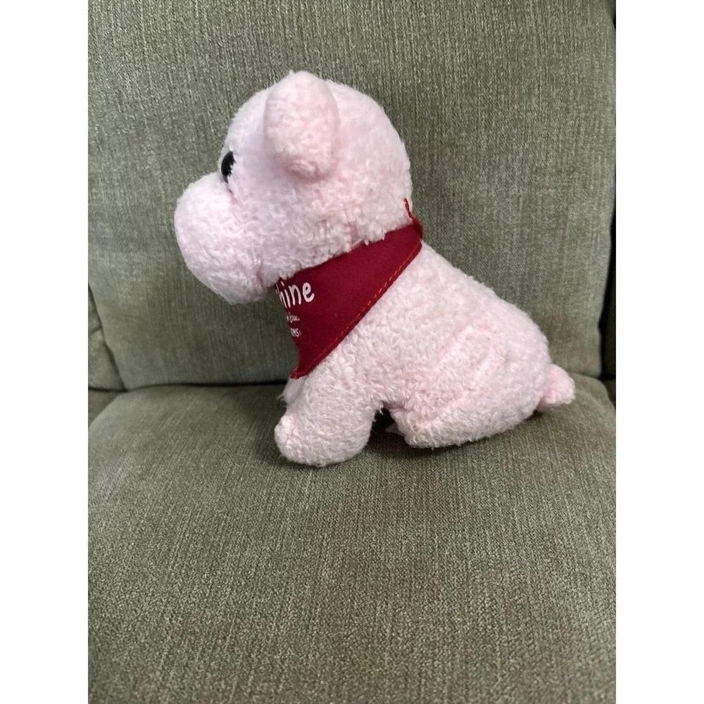 Bob Evans Farms Sunshine Pink Pig Plush Doll VTG
